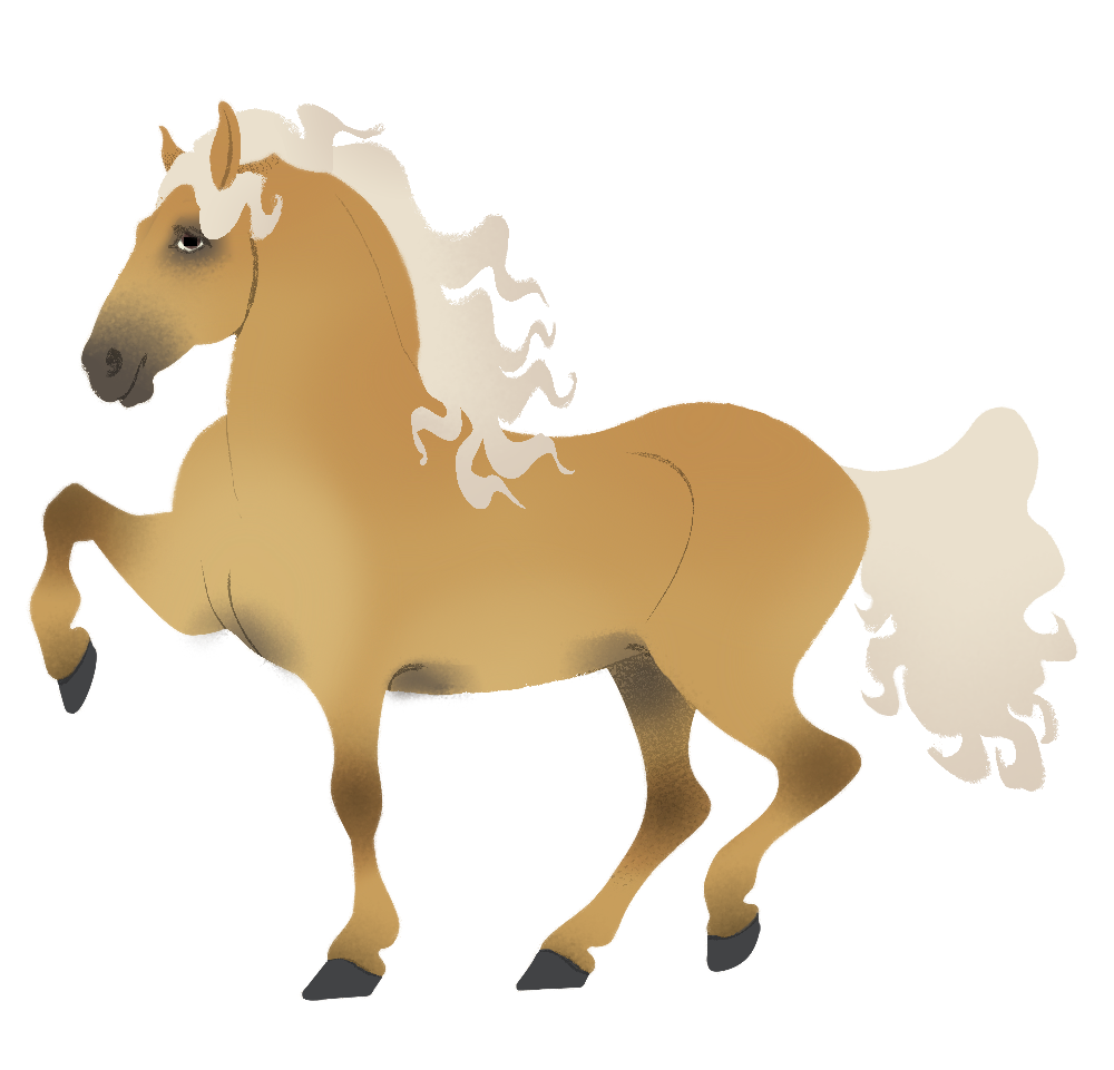 Palomino  (Chestnut + Cream)